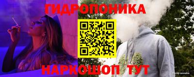 PSILOCYBIN Славгород
