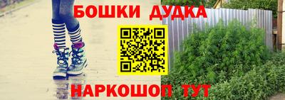 PSILOCYBIN Славгород