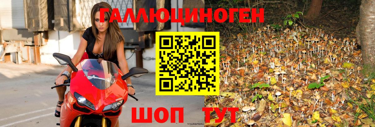 Галлюциногенные грибы прущие грибы  Вход с VPN  Минусинск 