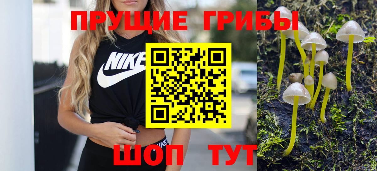 Псилоцибиновые грибы Magic Shrooms Минусинск
